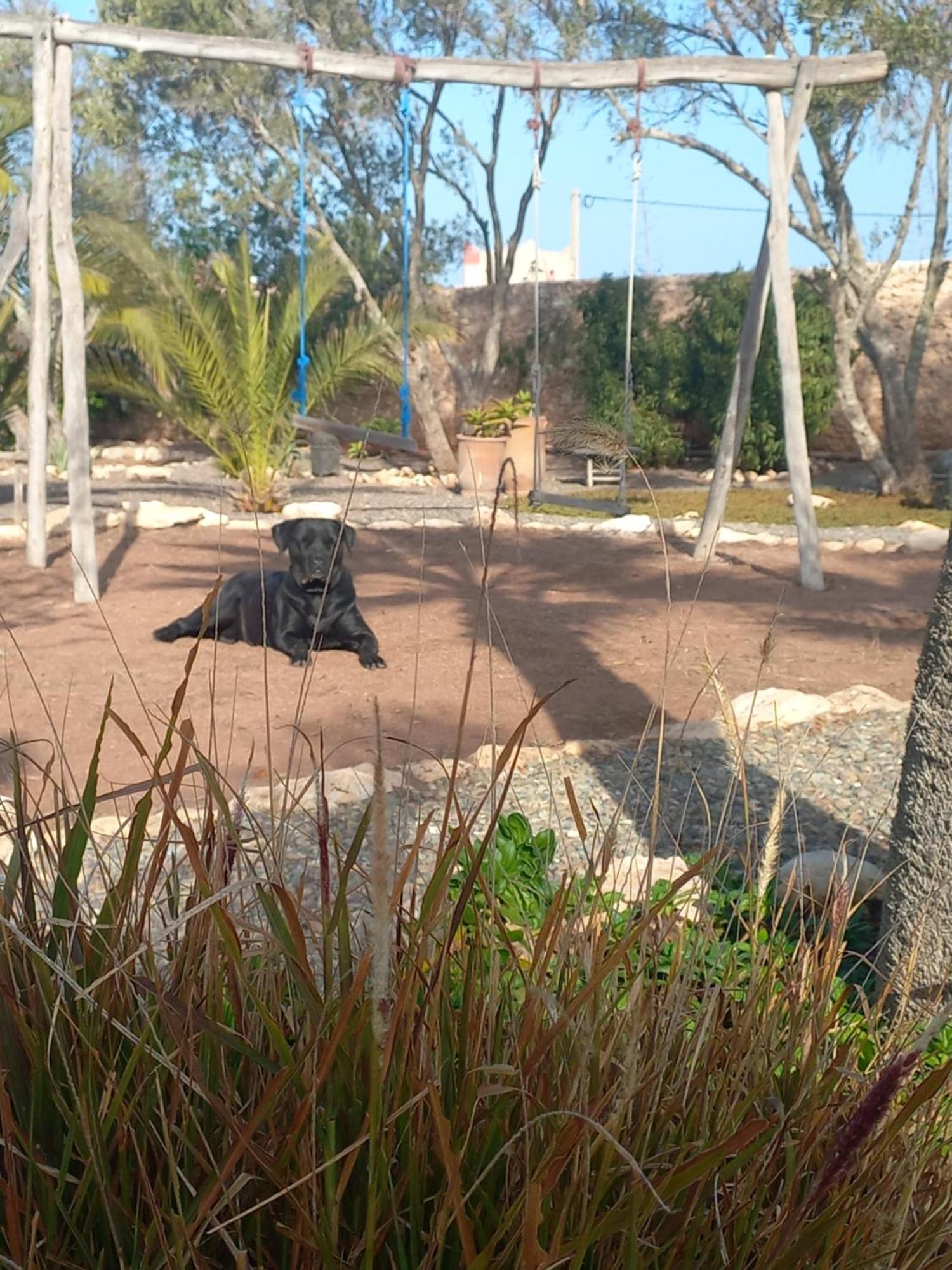 Les Jardins De Silona, Piscine Chauffee Otel Suvayr Dış mekan fotoğraf