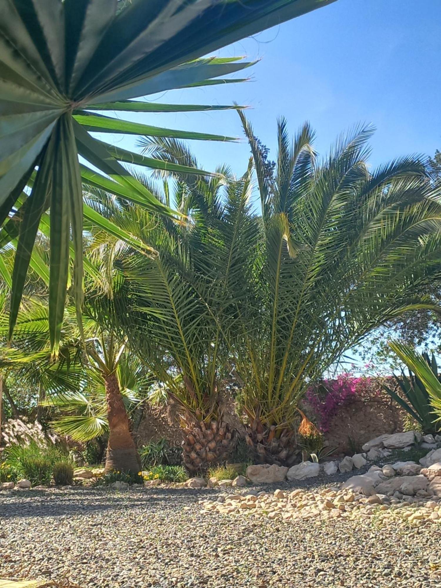 Les Jardins De Silona, Piscine Chauffee Otel Suvayr Dış mekan fotoğraf